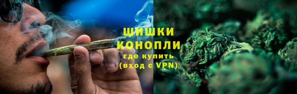 гидропоника Гусев