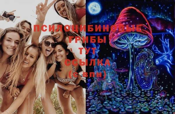 гидропоника Гусев